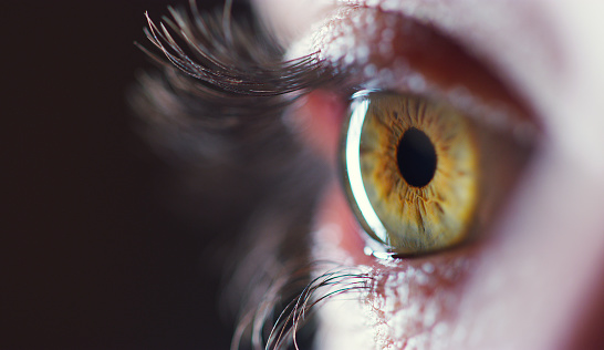 What Does Xanax Do to Your Eyes? Short-term and Long-term Alprazolam Effects on Vision