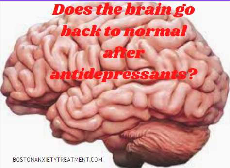 Does the brain go back to normal after antidepressants?